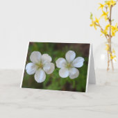 2つの白い花の挨拶状 カード (黄色い花)