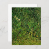 2つの白い蝶バイビンセントヴァンゴッホ (正面/裏面)