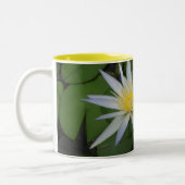 2つの白い《植物》スイレンマグ ツートーンマグカップ (左)