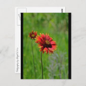 2つの種類 ポストカード (正面/裏面)