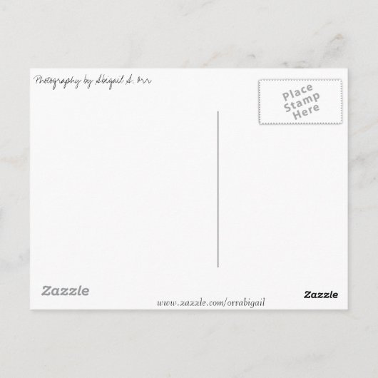 2つの種類 ポストカード (裏面)