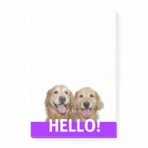 2つの笑顔のゴールデンレトリバードッグハロー