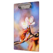 2つの素晴らしい桜の花。ピンク、青 クリップボード (左)