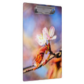 2つの素晴らしい桜の花。ピンク、青 クリップボード (右)