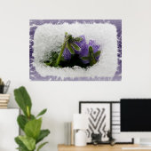 2つの紫のパンジー ポスター (ホームオフィス)