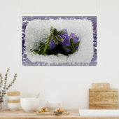 2つの紫のパンジー ポスター (キッチン)