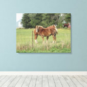 2つの美しい琥珀の馬が農場の芸術の隣 キャンバスプリント (インサイチュ (ウッドフロア))