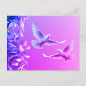 2つの美しい白い鳩 ポストカード (正面)