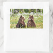 2つの若い茶色のクマのステッカー 長方形シール (バッグ)