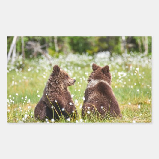 2つの若い茶色のクマのステッカー 長方形シール (正面)