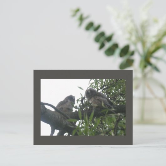 2つの若い長い耳のフクロウDIYはがき シーズンポストカード (スタンド正面)