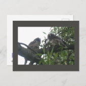 2つの若い長い耳のフクロウDIYはがき シーズンポストカード (正面/裏面)