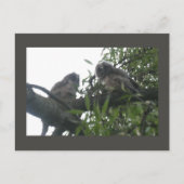 2つの若い長い耳のフクロウDIYはがき シーズンポストカード (正面)