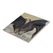 2つの茶色の野生の馬のヌズリング タイル (側面)