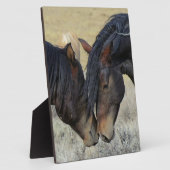 2つの茶色の野生の馬のヌズリング フォトプラーク (側面)