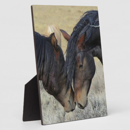 2つの茶色の野生の馬のヌズリング フォトプラーク (側面)