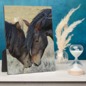 2つの茶色の野生の馬のヌズリング フォトプラーク (側面)