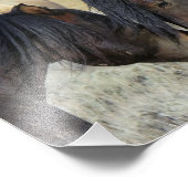 2つの茶色の野生の馬のヌズリング フォトプリント            (角)