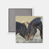 2つの茶色の野生の馬のヌズリング マグネット (正面/裏面)