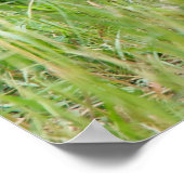 2つの赤いキツネの自然 ポスター (角)