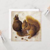 2つの赤いリス（Albrecht Durer著） カード (正面/裏面インサイチュ)