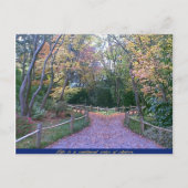 2つの道路 ポストカード (正面)