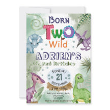 2つの野生の恐竜テーマ誕生日パーティインビ