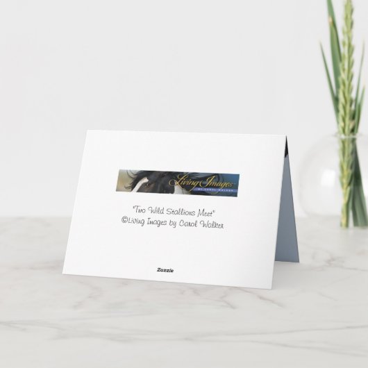 2つの野生の牡馬が会う – ワイルドホースのグリーティングカード カード (裏面)