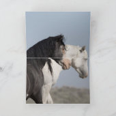 2つの野生の牡馬が会う – ワイルドホースのグリーティングカード カード (内部)