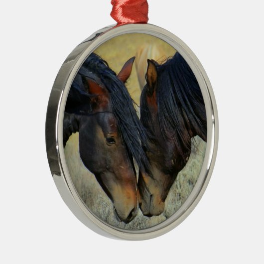 2つの野生マホガニーベイホース鼻に触れる メタルオーナメント (右)