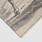 2つの闘牛(Paulus Potter) 薄葉紙 (詳細)