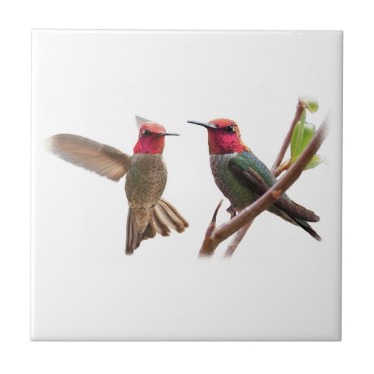 2つの飛んでいるな宝石 タイル (正面)