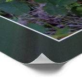 2つの黄色のバラ ポスター (角)