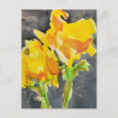 2つの黄色の花のクレヨン絵を描レジスト#241101 ポストカード (正面)