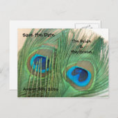 2つの黄金の孔雀の羽は日付を保存 案内ポストカード (正面/裏面)