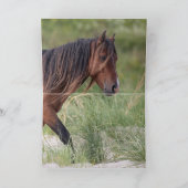 2つの黒い石馬が鳴るたてがね-グリーティングカード カード (内部)