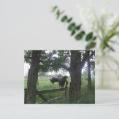 2つの黒い美しい ポストカード (スタンド正面)