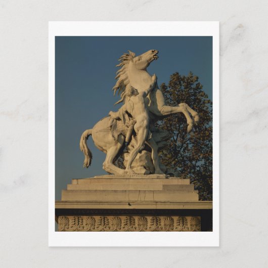 2つの「マーリーウマ」のオリジナルのレプリカ ポストカード (正面)