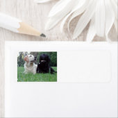 2つのlabs.png ラベル (インサイチュ)