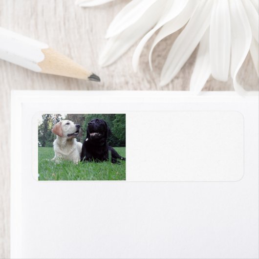 2つのlabs.png ラベル (インサイチュ)