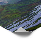 2つのnedoceratops/diceratops恐竜歩く ポスター (角)