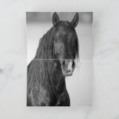 2つのStallion Freinds – グリーティングカード サンキューカード (内部)