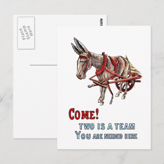 2つはチーム ポストカード (正面/裏面)