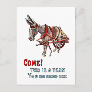 2つはチーム ポストカード