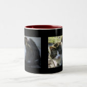 2つは子猫のマグにある調子を与えました ツートーンマグカップ (中央)