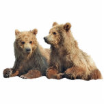2つは灰色グマのx3"彫刻cubs フォトスカルプチャー<br><div class="desc">2" bearsandmoreによって作成される灰色グマの幼いこどもの x3"彫刻</div>