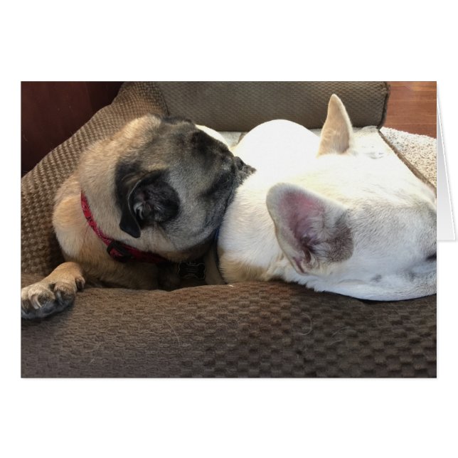 2つは1つよりよいです (正面横)