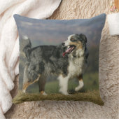 2つを喘いでいるボーダーコリー クッション (ブランケット)