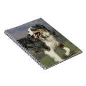 2つを喘いでいるボーダーコリー ノートブック (右側)