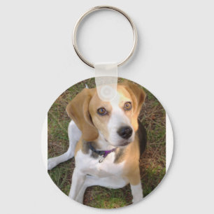 2つを坐らせているビーグル犬 キーホルダー
